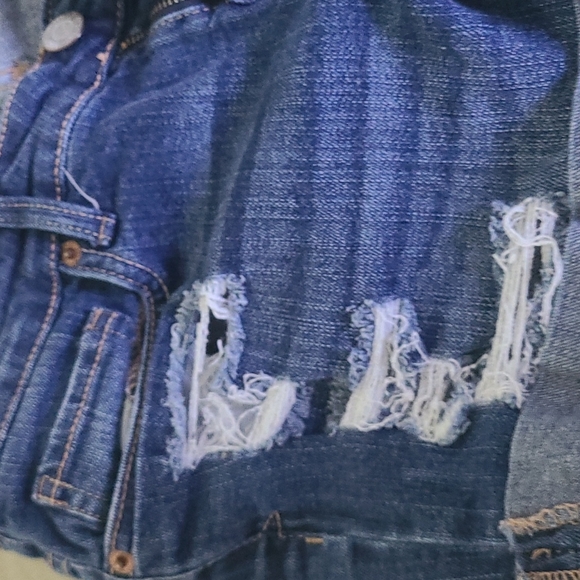 Shorts - Picture 2 of 5